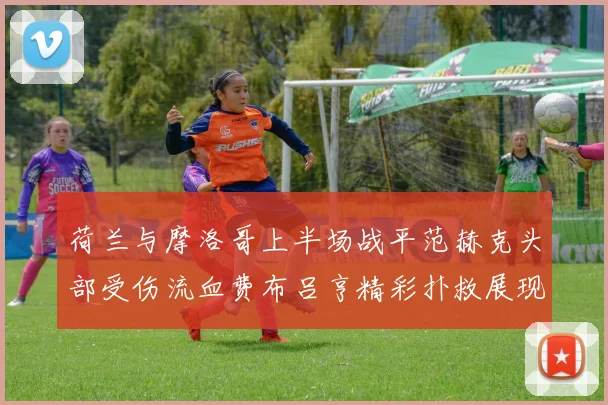 荷兰与摩洛哥上半场战平范赫克头部受伤流血费布吕亨精彩扑救展现实力